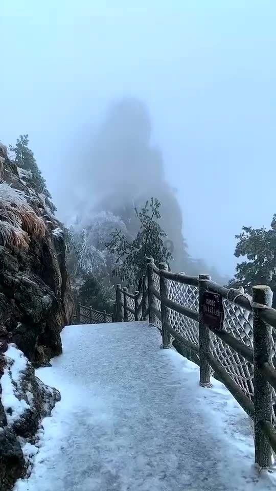 救援度假的法官
